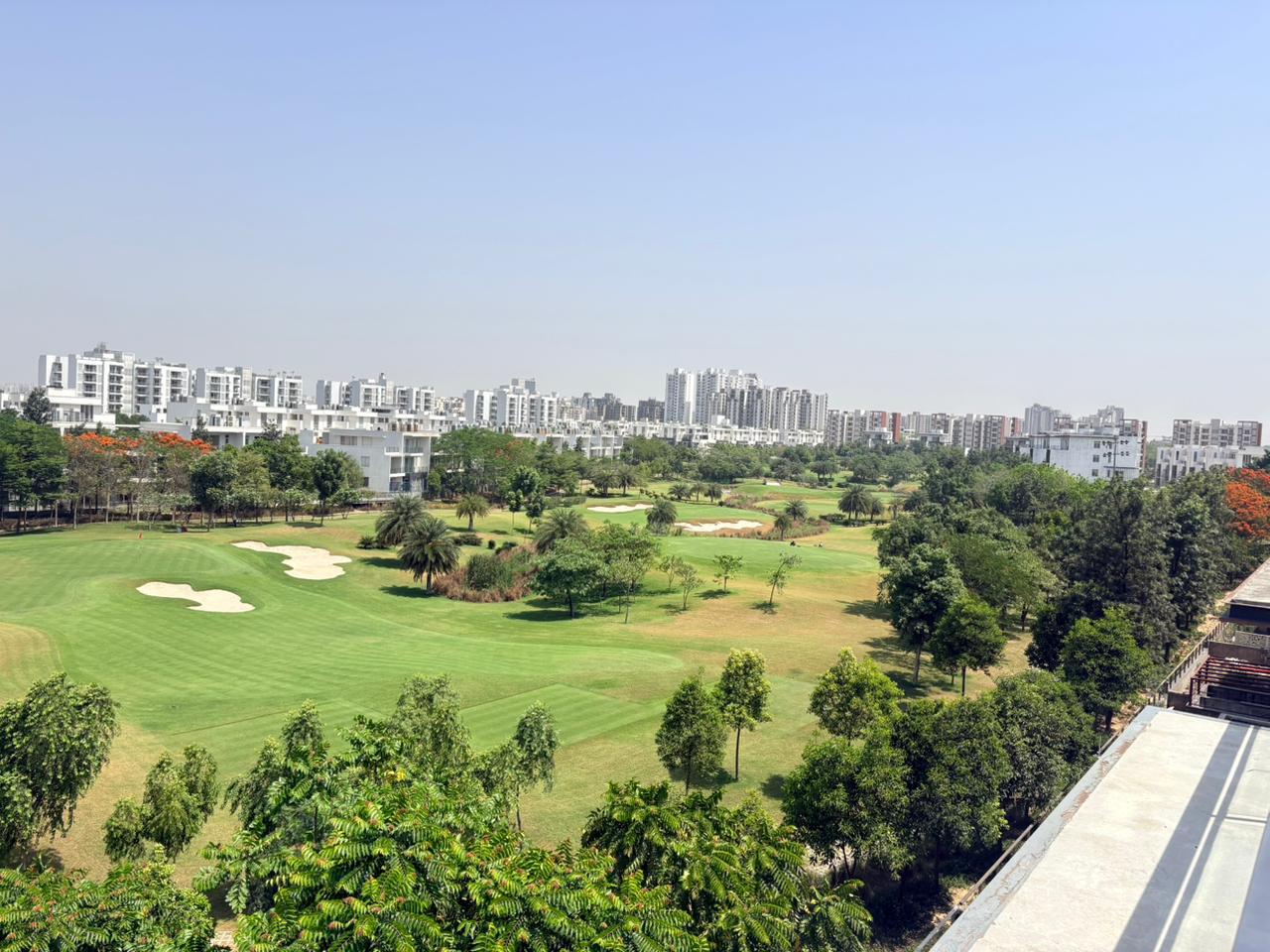 Golf Panorama